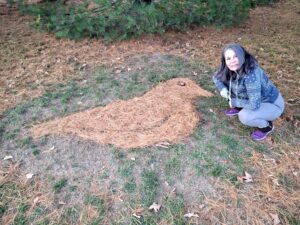 WildWorx: Easy Art Outside