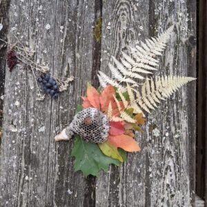 WildWorx: Easy Art Outside