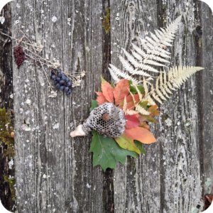 WildWorx: Easy Art Outside