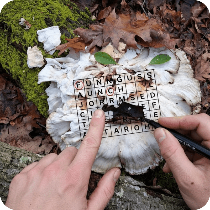 giant white polyphore mushroom with puzzle on top, hands playing game with pen