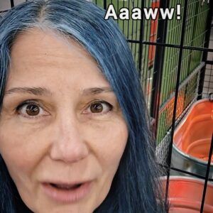 blue hair woman delighted with baby chicks
