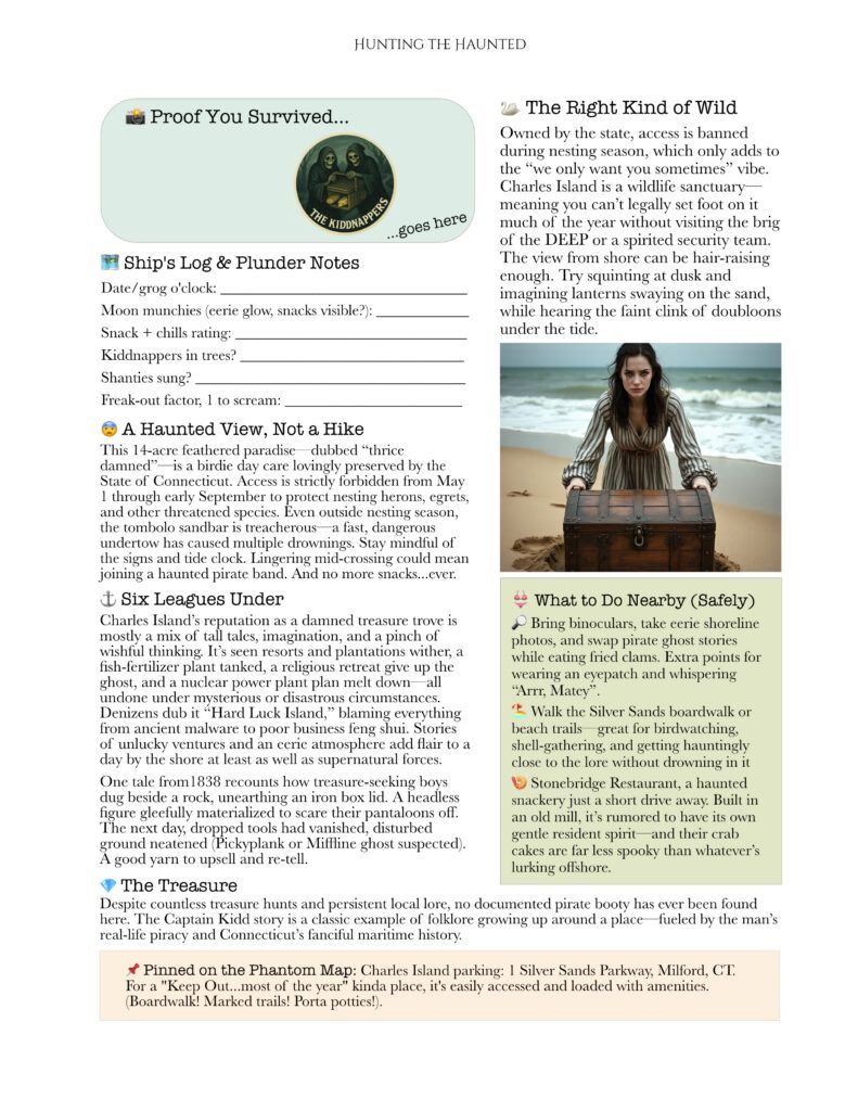 Milford Kiddnappers ghost pirate story pg 2