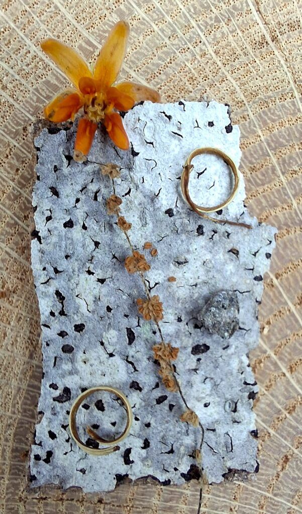 Wee Witch's Door of bark, pollen, flower and vine