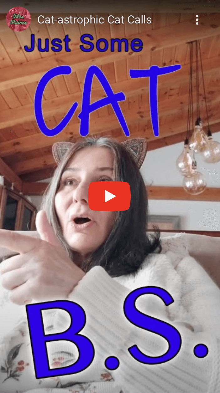 Mrs. Raines cat comedy jokes