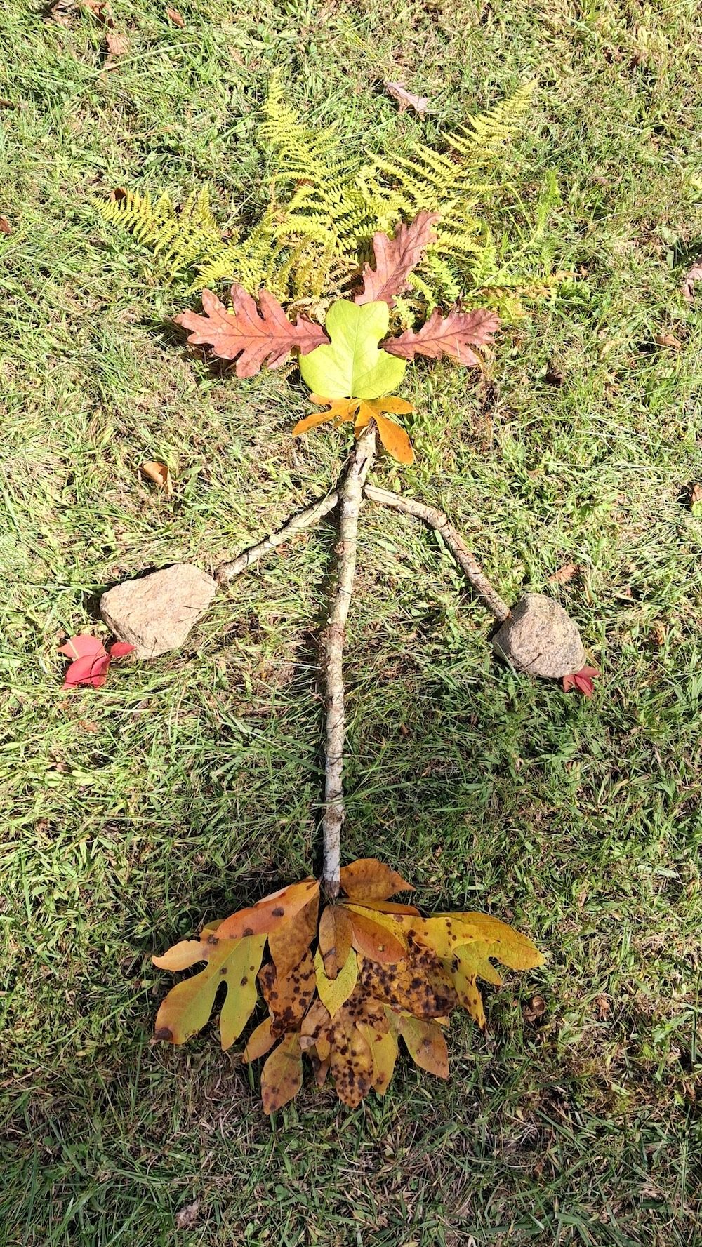 ElectraGraniteHandsSportsLeopard