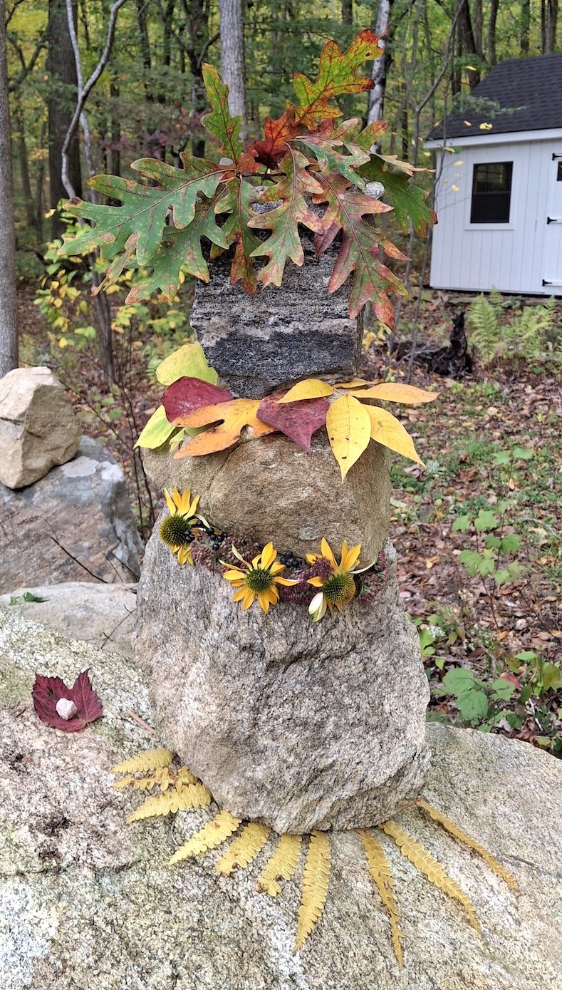 Forest Enchantress displays autumn attire