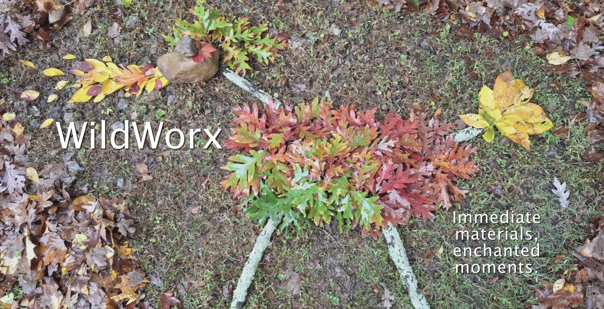 WildWorxBanner WildWorxBanner